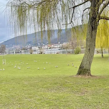 Apartment Modern-gemuetliche Wohnung, Ganz Neu, In Neuenheim,